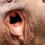 Outdoor Gaping Pussy Porn Videos: Free 720p HD XXX-rated Sex Videos 2025