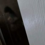 Goth Shower Fuck