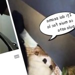 Cuplu Cu Chef De Intalnire: In Romanian Porn