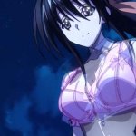 Akeno Himejima Sexy Pictures of The Week The Otaku Box