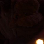 Xev Bellringer / bellringerxevofficial / xev_bellringer / xevbellringer69 Nude Leaks OnlyFans image 16