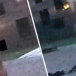 Man takes clothes off and runs naked outside Lasalle building