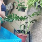 Indian Village Wife Taking Bath Porn Videos: Free UHD 4K 2160p XXX-rated Sex Videos 2026