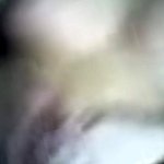 nicole austin taking a dick