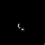 Searching for Harley Quinn fanart