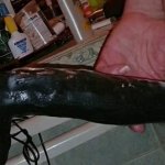 Un dildo di 25 cm. che mi penetra tutto il culo