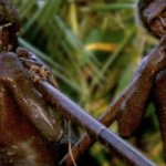 Crocodile Men