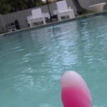Anal Sex in Miami with Tiny Dirty Blonde White Girl...