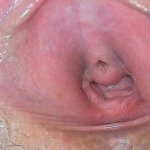 Hot Open Pussy Play Porn Videos: Free Full HD 1080p XXX-rated Sex Videos 2025