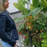 Annabel-Massina