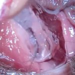 Wet Pussy Fingering Porno Videos