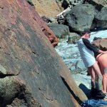 Voyeur Beach Babe Almost CAUGHT Masturbating to couple fucking