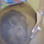 shaking that big fat ass