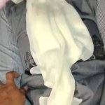Indonesia teriak Porn Videos