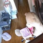 Caught On Spy Ipcam Chubby Girls Wild Masturbation Session In Her Room FemeFun