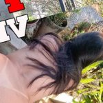 Big booty Anal Hardcore and Creampie