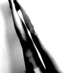 nude study: x ray Photography by Angelo Dorigo