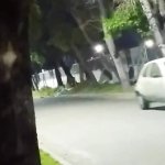 sex in public voyeurs watch while we fuck on the street girl flashing skirt without panties caught