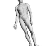 Male Nude Artwork 1 by Mehau Kulyk Science Photo Library