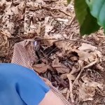 Asian fucked in publicrisky sex outdoor creampie