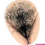 Pubic hair stories The Vulva Gallery
