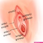 EYNTK about fingering How to finger a girl