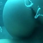Sabina Is Fucked Underwater before the Ocean Is Filled with Tiny Sperm