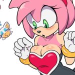 amy rose and rouge the bat sonic drawn by theotherhalf
