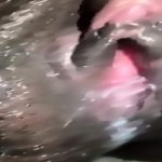 Ebony Creampie Up Close