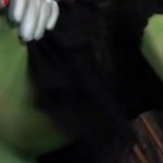 Fuck The Green Witch Fantasy Parody