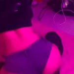 cats Video on X