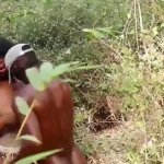 Local Village Girl With A sswbbw Ass Gives Blowjob And Fucked By the Watchman in the Bush With His B
