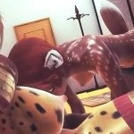 Female Furry Tiger Porn Porn Videos