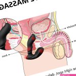 Anal Toys
