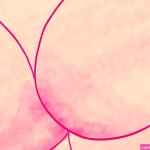 Is Anal Sex Safe? Myths Facts Best Practices for a Pleasurable Expe