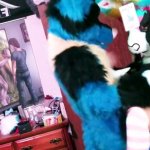 Busty teen with a furry fetish fucked hardcore in her colorful costume. Free porn videos on