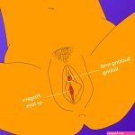 Top Tips and Tricks for Oral Sex