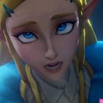Zelda BOTW Compilation