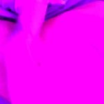 SlutLeaks