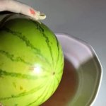 Fucking a jucy Watermelon Free OnlyFans