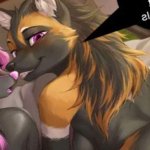 wolf anthro straight animated furry porn