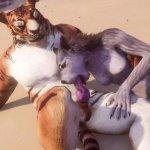 Wild Life Furry Wolf Girl with Furry Tiger