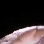 Nudes in Limbo and the naked aesthetic