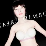 XPorn3D Creator Virtual Reality Porn 3D Rendering Software