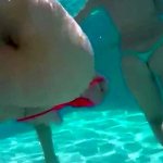 Porno Putaria Net Porn Videos
