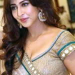 Super Sexy Sonarika Bhadoria Saree Curvy Hot Waist Busty Boobs Cleavage Growing Boobs Creamy Thighs