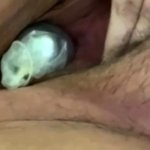 Lockdown. Unusual Objects in Fat Pussy