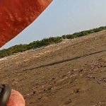 ANAL FINGERING FOR A SLUT: public beach slut analized and handjob
