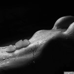Beautiful Body Spirited Soul