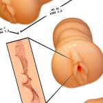 : Brooklyn Chase Pussy Stroker-Pornstar Stroker Series-Masturbator Cup Realistic 3D Textured Tight Vagina-Pleasure Sex Toys Pocket Male Masturbation for Men-Stamina Training-Men : Health Household